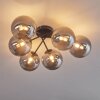 Chehalis Lámpara de Techo - Szkło 15 cm Ahumado, 6 luces