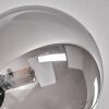 Chehalis Lámpara de Techo - Szkło 15 cm Ahumado, 6 luces