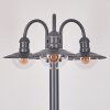 Elima Candelabro Antracita, 3 luces