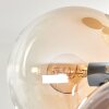 Gastor Lámpara de Techo - Szkło 15 cm Colores ámbar, Transparente, Ahumado, 4 luces