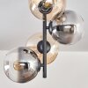 Gastor Lámpara de Techo - Szkło 15 cm Colores ámbar, Transparente, Ahumado, 4 luces