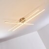 Tornio Lámpara de Techo LED Níquel-mate, 3 luces