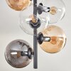 Gastor Lámpara de Techo - Szkło 15 cm Colores ámbar, Transparente, Ahumado, 6 luces