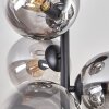 Gastor Lámpara de Techo - Cristal 15 cm Transparente, Ahumado, 6 luces