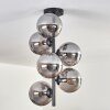 Gastor Lámpara de Techo - Cristal 15 cm Ahumado, 6 luces