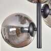 Gastor Lámpara de Techo - Szkło 15 cm Ahumado, 6 luces