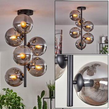 Gastor Lámpara de Techo - Cristal 15 cm Ahumado, 6 luces