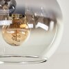 Koyoto Lámpara de Techo - Szkło 15 cm Transparente, Ahumado, 5 luces