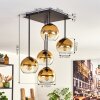 Koyoto Lámpara de Techo - Szkło 15 cm dorado, Transparente, 5 luces