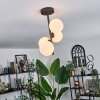 Chehalis Lámpara de Techo - Cristal 12 cm Blanca, 4 luces