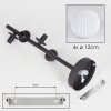 Chehalis Lámpara de Techo - Cristal 12 cm Blanca, 4 luces