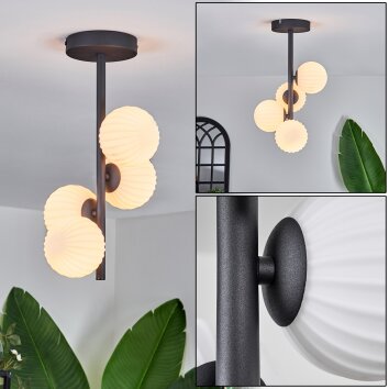 Chehalis Lámpara de Techo - Cristal 10 cm Blanca, 4 luces