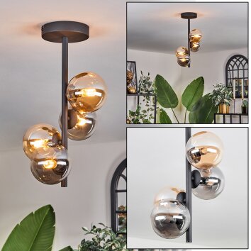Chehalis Lámpara de Techo - Cristal 10 cm Colores ámbar, Ahumado, 4 luces