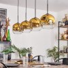 Ripoll Lámpara Colgante - Cristal 25 cm dorado, Transparente, 4 luces
