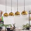 Ripoll Lámpara Colgante - Szkło 25 cm dorado, Transparente, 4 luces