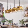 Ripoll Lámpara Colgante - Szkło 25 cm dorado, Transparente, 4 luces