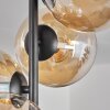 Gastor Lámpara de Techo - Cristal 15 cm Colores ámbar, 4 luces