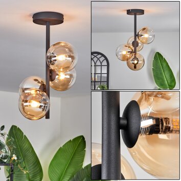 Chehalis Lámpara de Techo - Cristal 10 cm Colores ámbar, Transparente, 4 luces