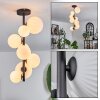Chehalis Lámpara de Techo - Cristal 10 cm, 12 cm, 15 cm Blanca, 8 luces
