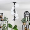 Chehalis Lámpara de Techo - Cristal 10 cm, 12 cm, 15 cm Blanca, 8 luces
