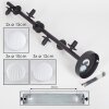 Chehalis Lámpara de Techo - Cristal 10 cm, 12 cm, 15 cm Blanca, 8 luces