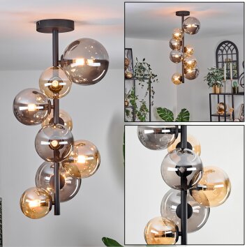 Chehalis Lámpara de Techo - Cristal 10 cm, 12 cm, 15 cm Colores ámbar, Ahumado, 8 luces