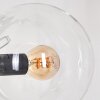 Gastor Lámpara de Pie - Szkło 15 cm Transparente, 5 luces