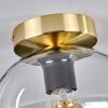 Apedo Lámpara de Techo - Szkło 20 cm dorado, Negro, 1 luz