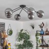 Gastor Lámpara de Techo - Cristal 15 cm Ahumado, 6 luces