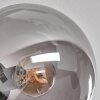 Gastor Lámpara de Techo - Cristal 15 cm Ahumado, 6 luces