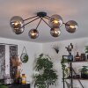 Gastor Lámpara de Techo - Cristal 15 cm Ahumado, 6 luces