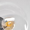 Gastor Lámpara de Techo - Cristal 15 cm Colores ámbar, Transparente, Ahumado, 6 luces