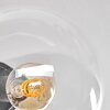 Gastor Lámpara de Techo - Szkło 15 cm Colores ámbar, Transparente, Ahumado, 6 luces