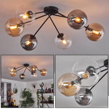 Gastor Lámpara de Techo - Cristal 15 cm Colores ámbar, Transparente, Ahumado, 6 luces