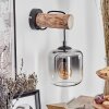 Lauden Aplique - Cristal 15 cm Crudo, Negro, 1 luz