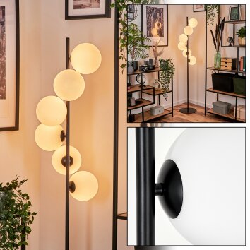 Remaisnil Lámpara de Pie - Szkło 15 cm Blanca, 6 luces