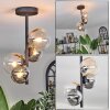 Chehalis Lámpara de Techo - Cristal 10 cm, 12 cm Colores ámbar, Transparente, Ahumado, 4 luces