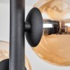 Chehalis Lámpara de Techo - Szkło 10 cm Colores ámbar, Transparente, 4 luces