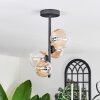 Chehalis Lámpara de Techo - Cristal 10 cm, 12 cm Colores ámbar, Transparente, 4 luces