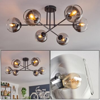 Koyoto Lámpara de Techo - Cristal 15 cm Transparente, Ahumado, 6 luces