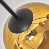 Koyoto Lámpara de Techo - Szkło 15 cm dorado, Transparente, 6 luces
