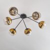 Koyoto Lámpara de Techo - Szkło 15 cm dorado, Transparente, 6 luces