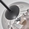 Koyoto Lámpara de Techo - Cristal 15 cm Cromo, Transparente, 6 luces