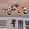 Gastor Lámpara de Techo - Cristal 15 cm Colores ámbar, Ahumado, 6 luces