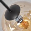 Gastor Lámpara de Techo - Szkło 15 cm Colores ámbar, Ahumado, 6 luces