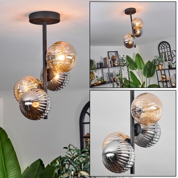 Chehalis Lámpara de Techo - Cristal 12 cm Colores ámbar, Ahumado, 4 luces