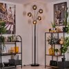 Ripoll Lámpara de Pie - Cristal 15 cm Cromo, 5 luces