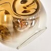 Ripoll Lámpara de Pie - Szkło 15 cm dorado, Transparente, 5 luces