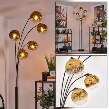 Ripoll Lámpara de Pie - Cristal 15 cm dorado, Transparente, 5 luces