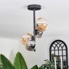 Chehalis Lámpara de Techo - Szkło 10 cm, 12cm Colores ámbar, Ahumado, 4 luces